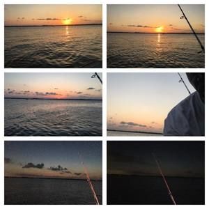 Meet your Posher, Dwight